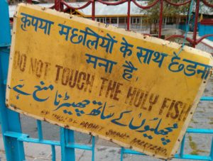 Browser icon: 'Do Not Touch The Holy Fish' sign. (Kashmir, India).