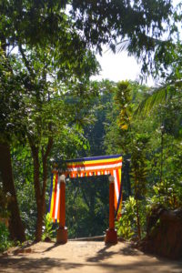 Buddhist flags on gate to temple, Sri Lanka