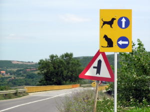 Cat & dog road sign, Kosovo