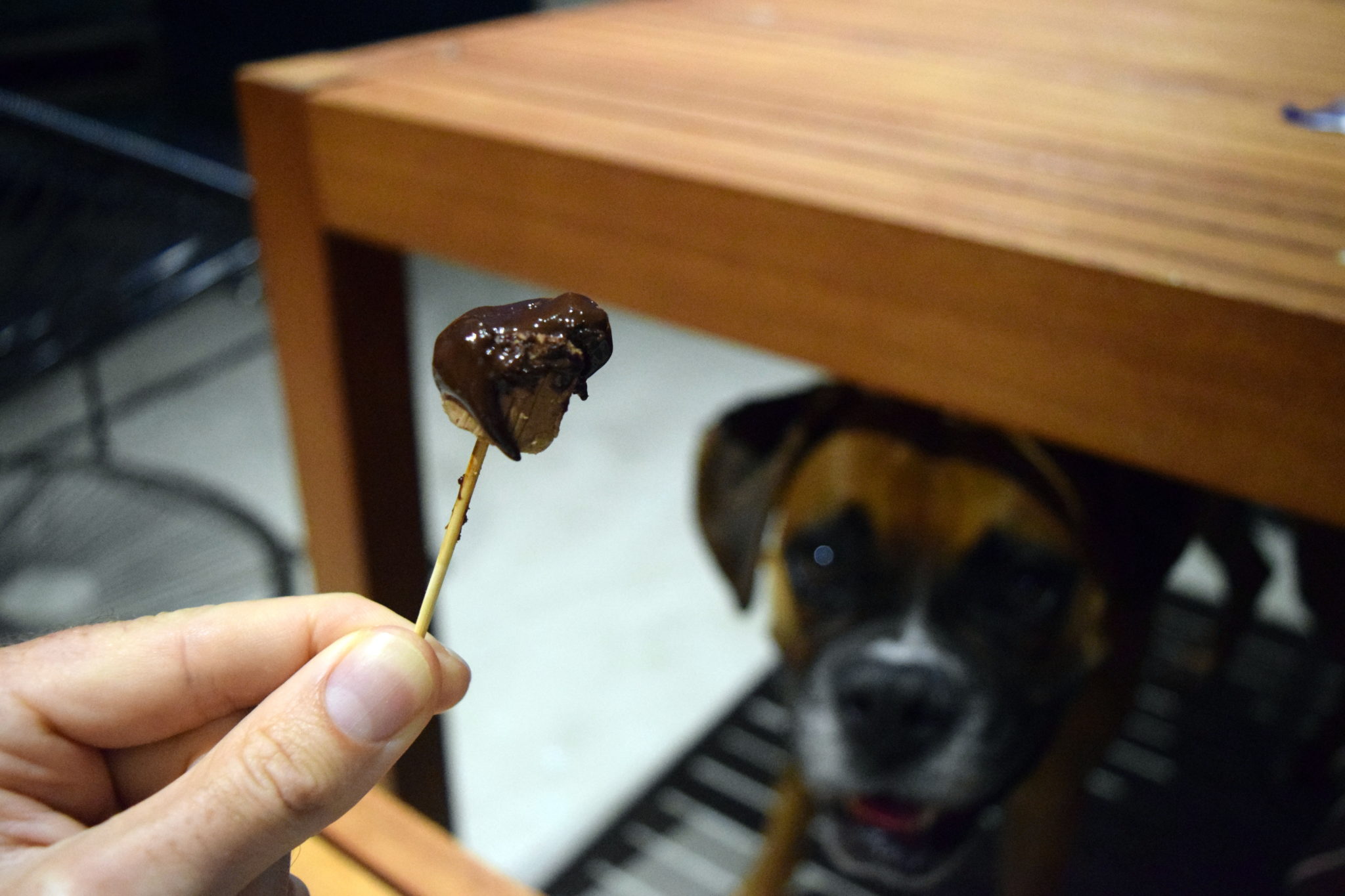Chocolate fondue isn't for puppies