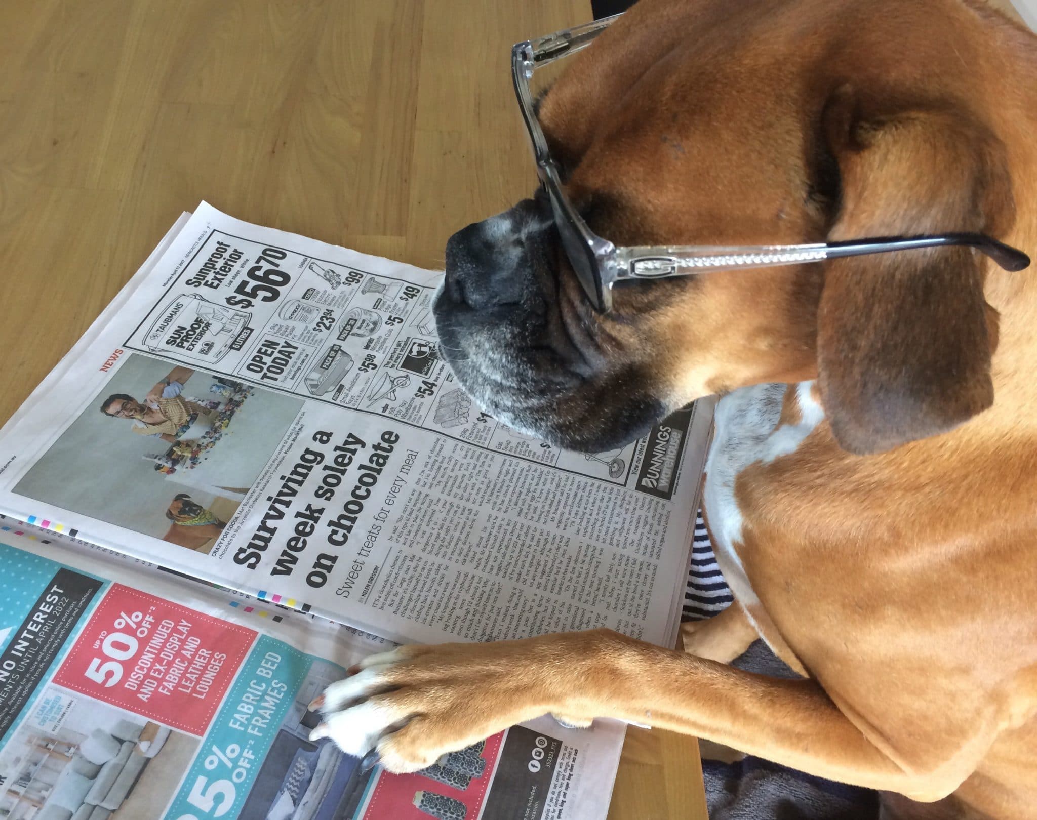 Bella reading the paper